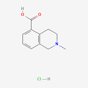 molecular formula C11H14ClNO2 B13491489 2-Methyl-1,2,3,4-tetrahydroisoquinoline-5-carboxylic acid hydrochloride 