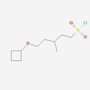 molecular formula C10H19ClO3S B13492136 5-Cyclobutoxy-3-methylpentane-1-sulfonyl chloride 