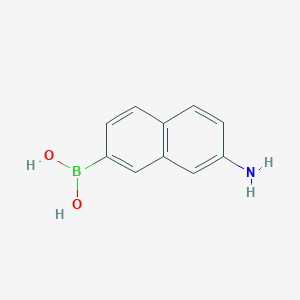 molecular formula C10H10BNO2 B13493266 (7-Aminonaphthalen-2-yl)boronic acid 