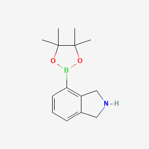 molecular formula C14H20BNO2 B13493906 4-(4,4,5,5-Tetramethyl-1,3,2-dioxaborolan-2-YL)isoindoline 