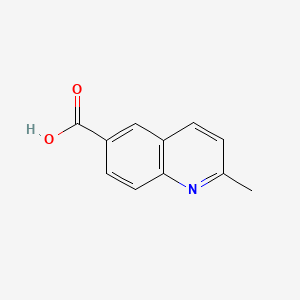 molecular formula C11H9NO2 B1349406 2-甲基喹啉-6-羧酸 CAS No. 635-80-3