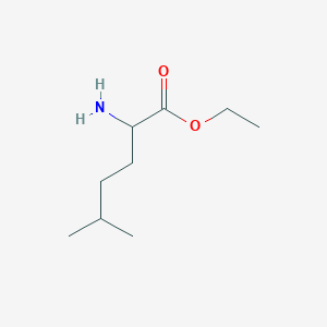 molecular formula C9H19NO2 B13494403 Ethyl 2-amino-5-methylhexanoate 