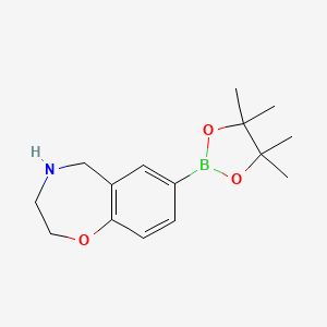 7-(4,4,5,5-Tetramethyl-1,3,2-dioxaborolan-2-yl)-2,3,4,5-tetrahydro-1,4-benzoxazepine