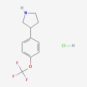 3-[4-(Trifluoromethoxy)phenyl]pyrrolidine hydrochloride