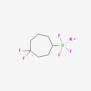 molecular formula C7H11BF5K B13495294 Potassium (4,4-difluorocycloheptyl)trifluoroborate 