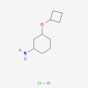 3-Cyclobutoxycyclohexan-1-amine hydrochloride