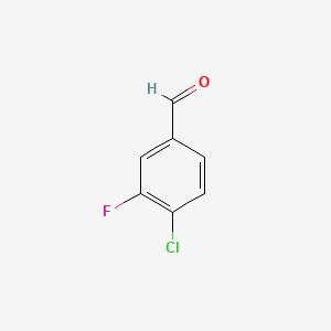 molecular formula C7H4ClFO B1349764 4-氯-3-氟苯甲醛 CAS No. 5527-95-7