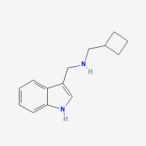 molecular formula C14H18N2 B13498064 (cyclobutylmethyl)[(1H-indol-3-yl)methyl]amine 