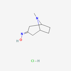 molecular formula C8H15ClN2O B1349812 8-Methyl-8-azabicyclo[3.2.1]octan-3-one oxime hydrochloride CAS No. 212079-30-6