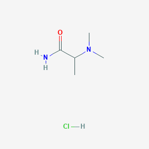 molecular formula C5H13ClN2O B13499180 2-(Dimethylamino)propanamide hydrochloride 