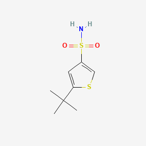 5-Tert-butylthiophene-3-sulfonamide