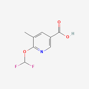 molecular formula C8H7F2NO3 B13499452 6-(Difluoromethoxy)-5-methylpyridine-3-carboxylic acid 