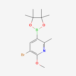 molecular formula C13H19BBrNO3 B13501440 3-Bromo-2-methoxy-6-methyl-5-(4,4,5,5-tetramethyl-1,3,2-dioxaborolan-2-YL)pyridine 