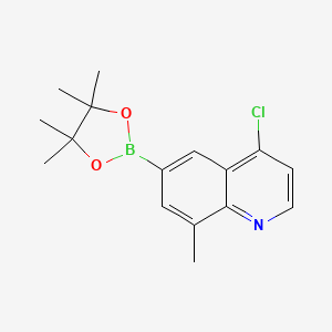 molecular formula C16H19BClNO2 B13501520 4-Chloro-8-methyl-6-(4,4,5,5-tetramethyl-1,3,2-dioxaborolan-2-yl)quinoline 