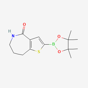 molecular formula C14H20BNO3S B13501561 2-(4,4,5,5-Tetramethyl-1,3,2-dioxaborolan-2-yl)-5,6,7,8-tetrahydro-4H-thieno[3,2-c]azepin-4-one 