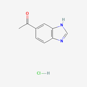 molecular formula C9H9ClN2O B13503672 1-(1H-1,3-benzodiazol-5-yl)ethan-1-one hydrochloride 