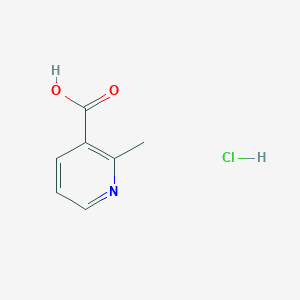 molecular formula C7H8ClNO2 B1350376 2-Methylnicotinic acid hydrochloride CAS No. 21636-09-9