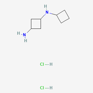 molecular formula C8H18Cl2N2 B13504675 rac-(1r,3r)-N1-cyclobutylcyclobutane-1,3-diamine dihydrochloride, trans 