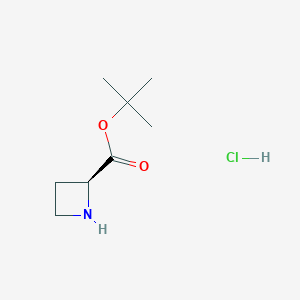 molecular formula C8H16ClNO2 B13506040 Tert-butyl (2s)-azetidine-2-carboxylate hydrochloride 