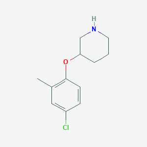 molecular formula C12H16ClNO B13506175 3-(4-Chloro-2-methylphenoxy)piperidine CAS No. 954223-28-0