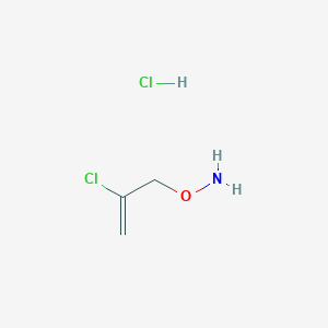 molecular formula C3H7Cl2NO B13507738 O-(2-chloroprop-2-en-1-yl)hydroxylaminehydrochloride 