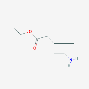 molecular formula C10H19NO2 B13508065 Ethyl 2-(3-amino-2,2-dimethylcyclobutyl)acetate 