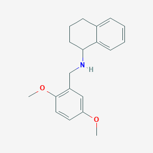 molecular formula C19H23NO2 B1350901 N-[(2,5-dimethoxyphenyl)methyl]-1,2,3,4-tetrahydronaphthalen-1-amine CAS No. 356092-88-1