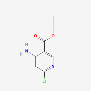 molecular formula C10H13ClN2O2 B13509371 tert-Butyl 4-amino-6-chloronicotinate 