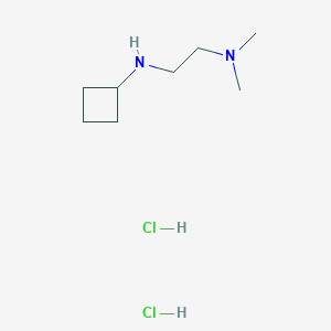 molecular formula C8H20Cl2N2 B13509464 N-[2-(dimethylamino)ethyl]cyclobutanamine dihydrochloride 