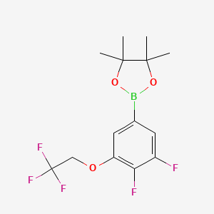 molecular formula C14H16BF5O3 B13509689 2-(3,4-Difluoro-5-(2,2,2-trifluoroethoxy)phenyl)-4,4,5,5-tetramethyl-1,3,2-dioxaborolane 