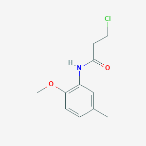 molecular formula C11H14ClNO2 B1351115 3-chloro-N-(2-methoxy-5-methylphenyl)propanamide CAS No. 349122-20-9