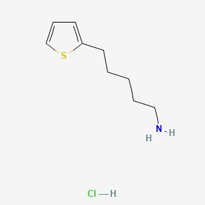 molecular formula C9H16ClNS B13512197 5-(Thiophen-2-yl)pentan-1-aminehydrochloride 