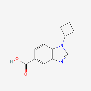 molecular formula C12H12N2O2 B13514455 1-Cyclobutyl-1h-benzo[d]imidazole-5-carboxylic acid 