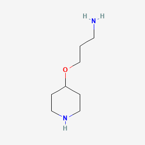 molecular formula C8H18N2O B13514526 3-(Piperidin-4-yloxy)propan-1-amine 