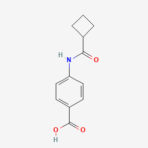 B1351459 4-[(Cyclobutylcarbonyl)amino]benzoic acid CAS No. 33582-66-0