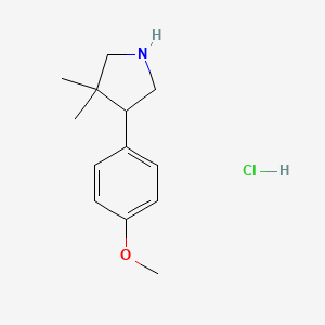 molecular formula C13H20ClNO B13515076 4-(4-Methoxyphenyl)-3,3-dimethylpyrrolidine hydrochloride 