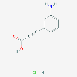 molecular formula C9H8ClNO2 B13515854 3-(3-Aminophenyl)prop-2-ynoic acid hydrochloride 