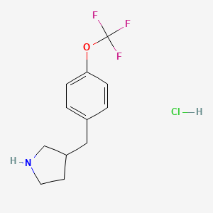 3-{[4-(Trifluoromethoxy)phenyl]methyl}pyrrolidine hydrochloride