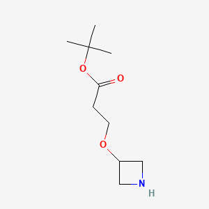 molecular formula C10H19NO3 B13516809 Tert-butyl 3-(azetidin-3-yloxy)propanoate 