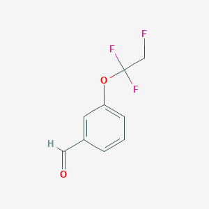 molecular formula C9H7F3O2 B13517378 3-(1,1,2-Trifluoroethoxy)benzaldehyde 