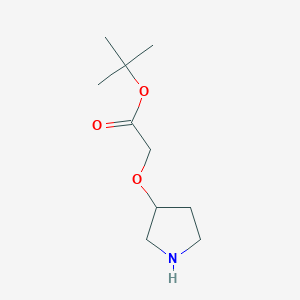 molecular formula C10H19NO3 B13517565 Tert-butyl 2-(pyrrolidin-3-yloxy)acetate 