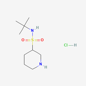 molecular formula C9H21ClN2O2S B13517697 N-tert-butylpiperidine-3-sulfonamidehydrochloride 