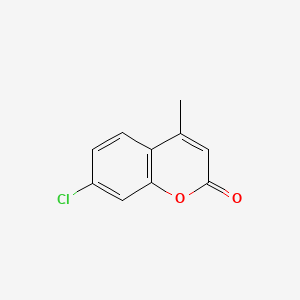 molecular formula C10H7ClO2 B13517837 7-chloro-4-methyl-2H-chromen-2-one 