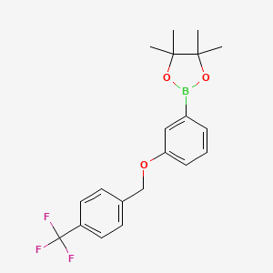 molecular formula C20H22BF3O3 B13517962 4,4,5,5-Tetramethyl-2-(3-((4-(trifluoromethyl)benzyl)oxy)phenyl)-1,3,2-dioxaborolane 