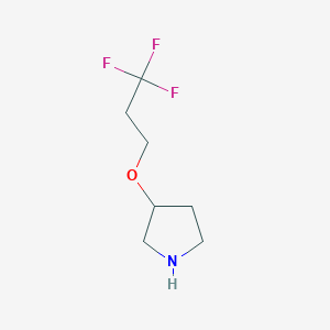 molecular formula C7H12F3NO B13518051 3-(3,3,3-Trifluoropropoxy)pyrrolidine 