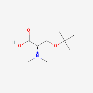 molecular formula C9H19NO3 B13518209 (2S)-3-(tert-butoxy)-2-(dimethylamino)propanoic acid 