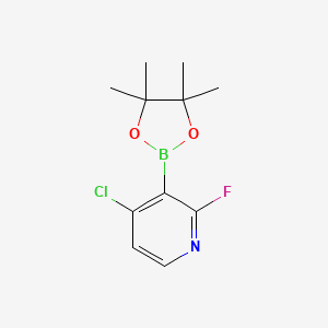 molecular formula C11H14BClFNO2 B13518879 4-Chloro-2-fluoro-3-(4,4,5,5-tetramethyl-1,3,2-dioxaborolan-2-YL)pyridine 