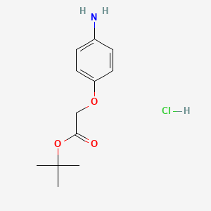 molecular formula C12H18ClNO3 B13519213 Tert-butyl 2-(4-aminophenoxy)acetate hydrochloride 