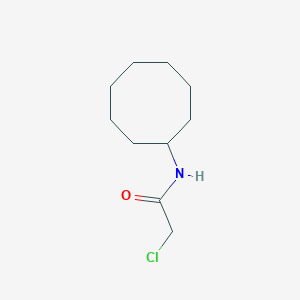 B1351947 2-chloro-N-cyclooctylacetamide CAS No. 379255-43-3