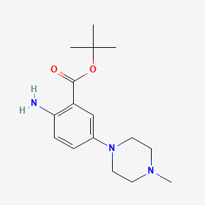 molecular formula C16H25N3O2 B13519615 Tert-butyl 2-amino-5-(4-methylpiperazin-1-yl)benzoate 